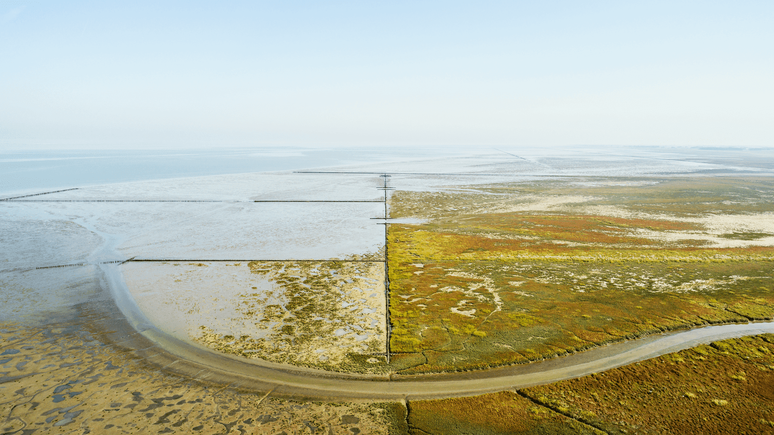 Hoe kunnen we de Waddenzee beter beschermen? Door haar rechten te geven