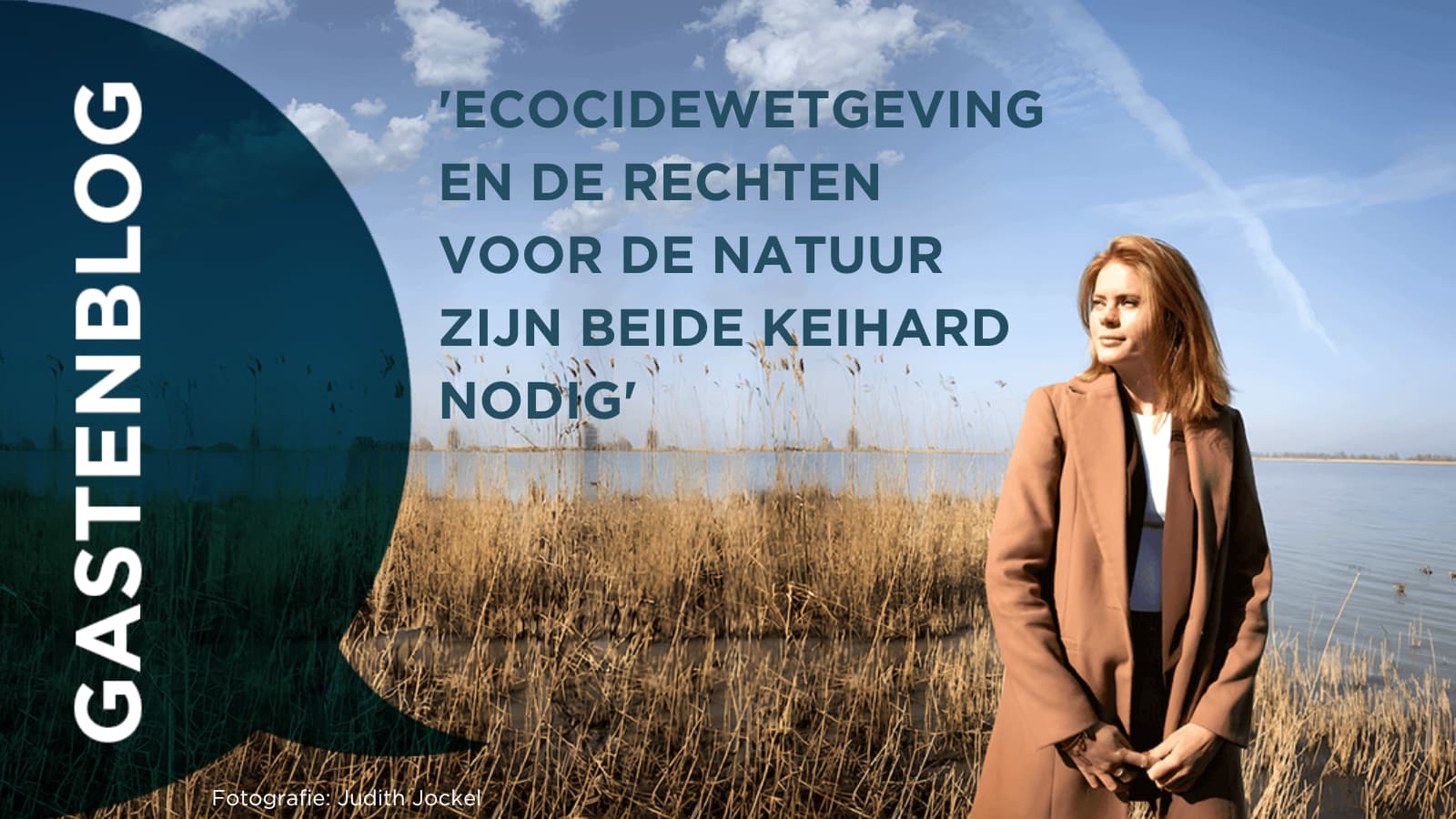 Ecocidewetgeving en de rechten voor de natuur zijn beide keihard nodig.