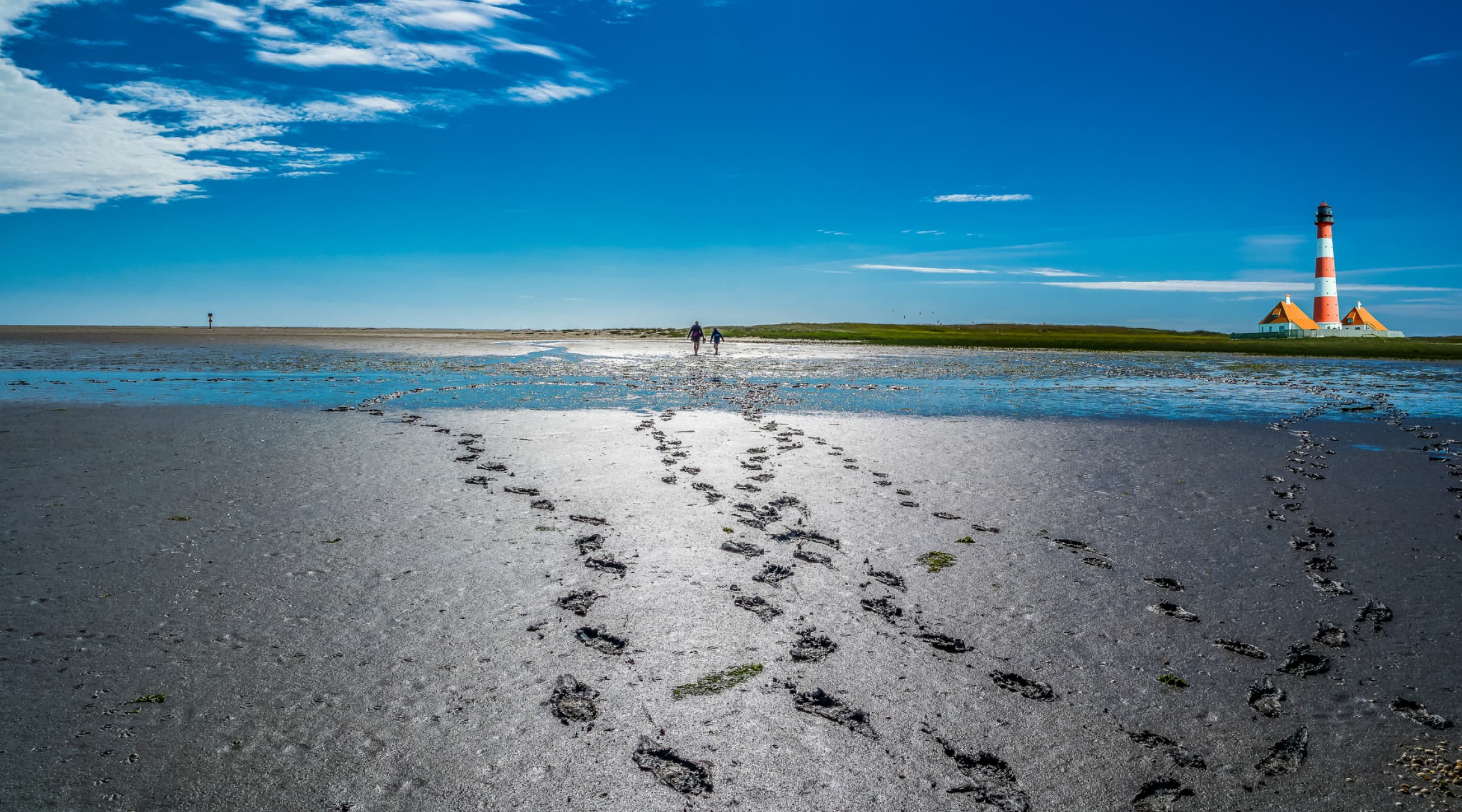 Bescherm de Waddenzee, geef haar rechten