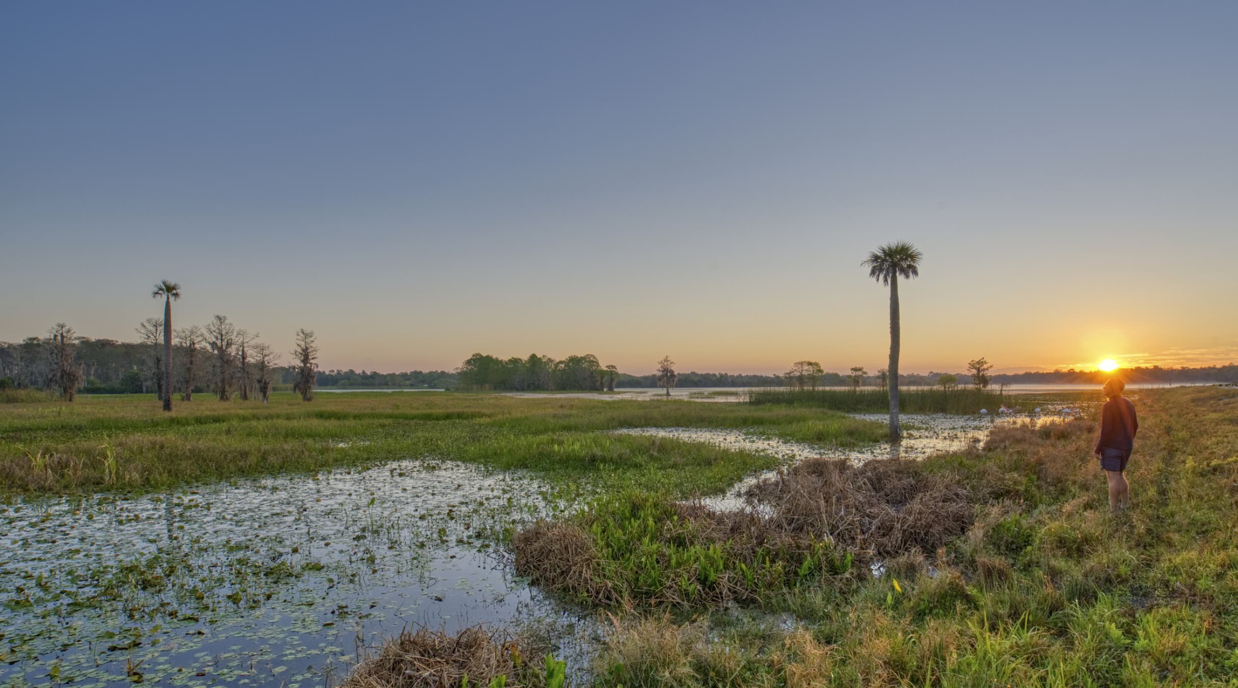 Hoog tijd: in Florida sleept een moeras de mens voor de rechter
